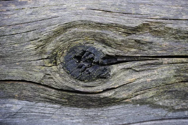 Old Wooden Beam Knots Eaten Woodworms High Quality Photo — Stock Photo, Image
