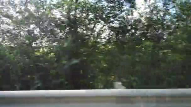 Utsikt Från Sidofönstret Bil Rörelse — Stockvideo