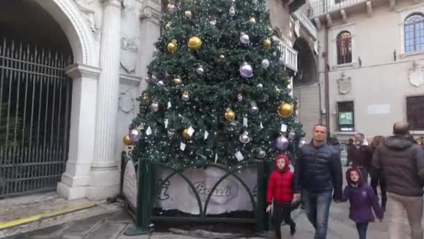 Verona - Italië - 12 23 2018: Kerstboom en wandelaars op een plein in het centrum van Verona — Stockvideo