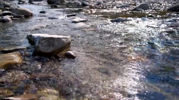 Wasser fließt auf dem Flussbett der Enza in Reggio Emilia, Italien — Stockvideo