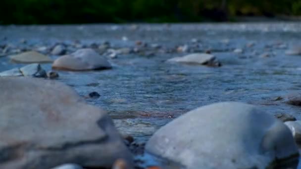 Eau coulant sur le lit de la rivière Enza à Reggio Emilia, Italie — Video