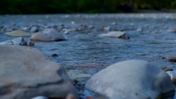 Вода течет по руслу реки Энца в Реджо-Эмилия, Италия — стоковое видео