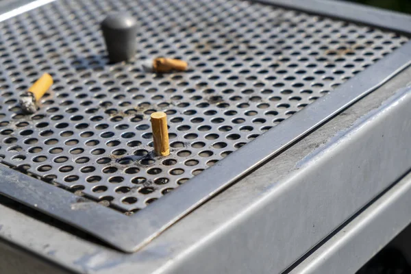 Unlit Pontas Cigarro Cinzeiro Livre Foto Alta Qualidade — Fotografia de Stock