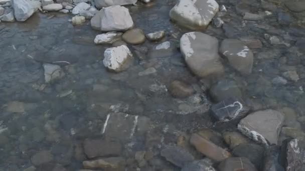 Eau coulant sur le lit de la rivière Enza à Reggio Emilia, Italie — Video