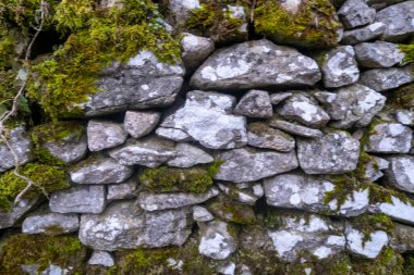 Yeşil manzaralı eski çuval duvar. Yüksek kalite fotoğraf