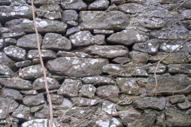 Yeşil manzaralı eski çuval duvar. Yüksek kalite fotoğraf