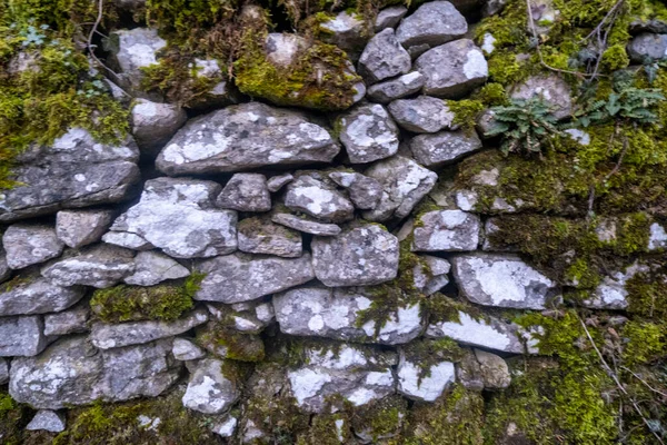 Yeşil manzaralı eski çuval duvar. Yüksek kalite fotoğraf