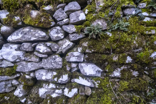 Ancien Mur Sac Avec Vue Sur Vert Photo Haute Qualité — Photo