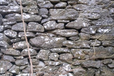 Yeşil manzaralı eski çuval duvar. Yüksek kalite fotoğraf