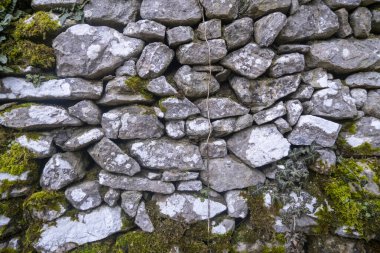 Yeşil manzaralı eski çuval duvar. Yüksek kalite fotoğraf