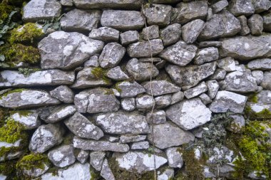 Yeşil manzaralı eski çuval duvar. Yüksek kalite fotoğraf