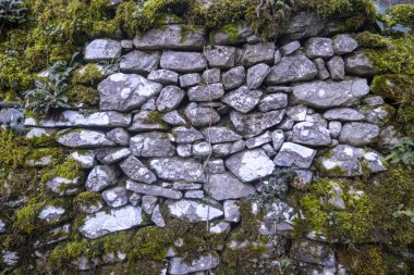 Yeşil manzaralı eski çuval duvar. Yüksek kalite fotoğraf