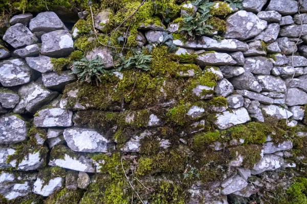 Starożytna Ściana Worka Zielonym Widokiem Wysokiej Jakości Zdjęcie — Zdjęcie stockowe