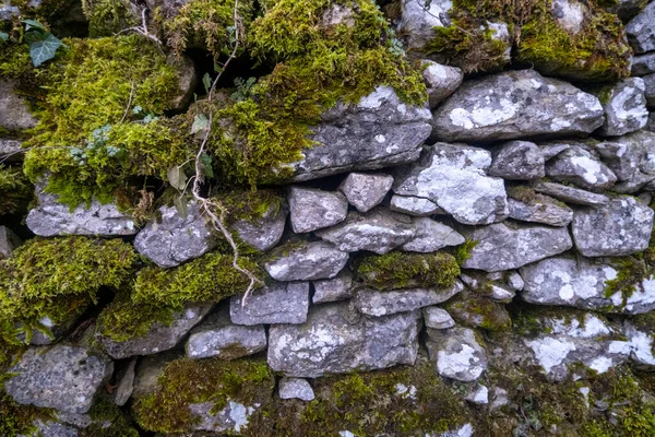 Yeşil Manzaralı Eski Çuval Duvar Yüksek Kalite Fotoğraf — Stok fotoğraf