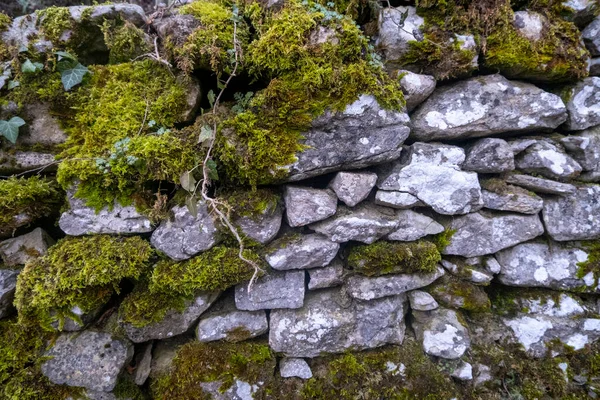 緑の景色の古代の袋の壁 高品質の写真 — ストック写真