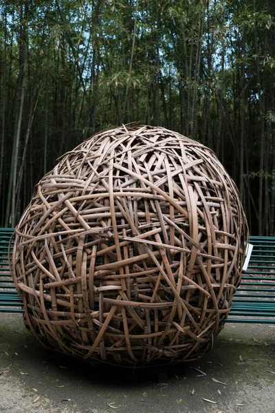 Большой Шар Сухого Бамбука Высокое Качество Фото — стоковое фото