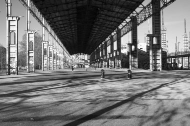 İtalya 'nın Torino kentindeki Dora Park' ta. Yüksek kalite fotoğraf