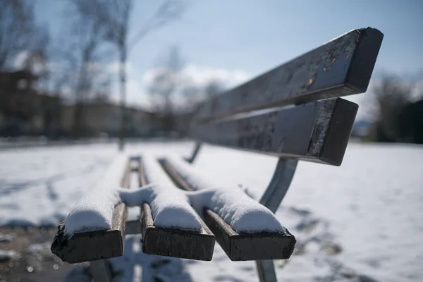 snow covered bench in sunny day. High quality photo