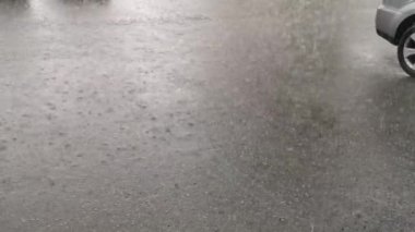 Güzel İtalyan esmer kız fotoğraf stüdyosunda poz veriyor.