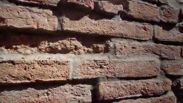 Güneşli bir günde eski taş duvar ve tuğla desenli arka plan — Stok video