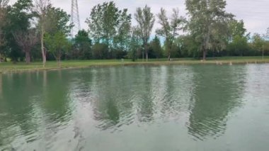 Campogalliano Modena 'daki Curiel göllerinin vahasında bitki ve ördekler var.