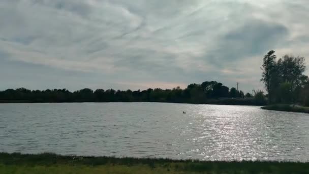 Oas av Curiel sjöarna i Campogalliano Modena med vegetation och ankor — Stockvideo