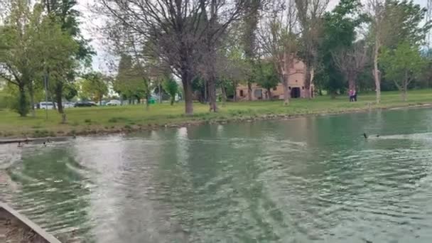 Oáza Curielových jezer v Campogalliano Modena s vegetací a kachnami — Stock video