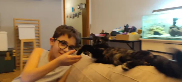 眼鏡をかけた子供はソファで猫と遊ぶ 高品質の写真 — ストック写真