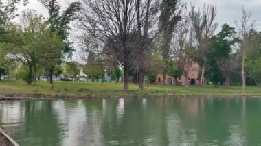Campogalliano Modena 'daki Curiel göllerinin vahasında bitki ve ördekler var.