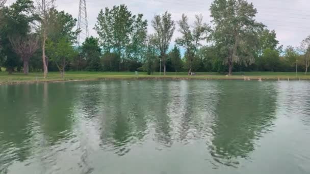 Oase van de Curiel meren in Campogalliano Modena met vegetatie en eenden — Stockvideo
