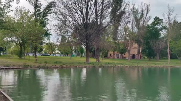 Oas av Curiel sjöarna i Campogalliano Modena med vegetation och ankor — Stockvideo