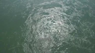 İtalya, Pavia 'daki Ponte Koperto' dan Ticino nehri