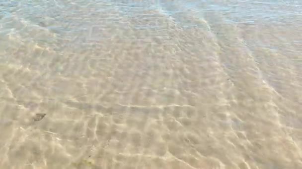 Vagues Dans Les Eaux Peu Profondes Plage Cattolica Rimini Mer — Video