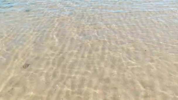 Wellen Flachen Wasser Des Strandes Von Cattolica Rimini Adria — Stockvideo