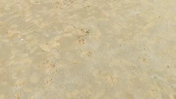 Wellen Flachen Wasser Des Strandes Von Cattolica Rimini Adria — Stockvideo