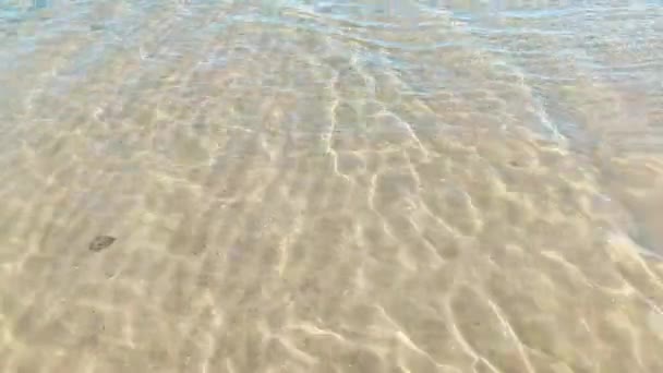 Волны Мелководье Пляжа Каттолика Римини Адриатическое Море — стоковое видео