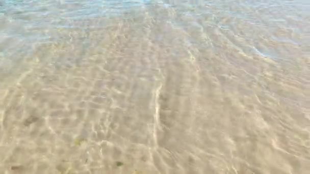 Волны Мелководье Пляжа Каттолика Римини Адриатическое Море — стоковое видео