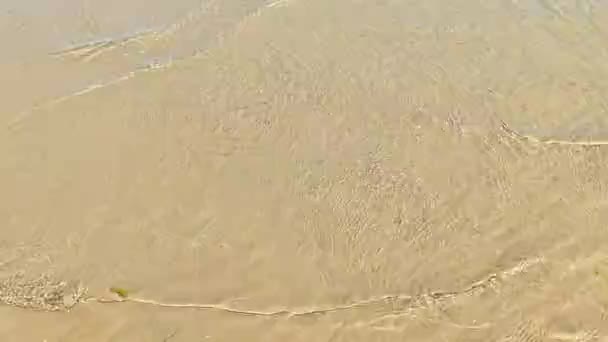Vlny Mělké Vodě Pláži Cattolica Rimini Jaderské Moře — Stock video