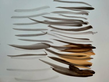 Koyu kahverengi suluboya boyalı fırça izleri. Yüksek kalite fotoğraf