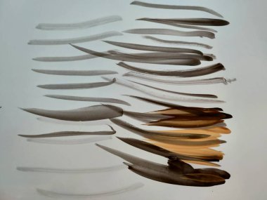 Koyu kahverengi suluboya boyalı fırça izleri. Yüksek kalite fotoğraf