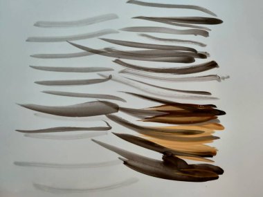 Koyu kahverengi suluboya boyalı fırça izleri. Yüksek kalite fotoğraf