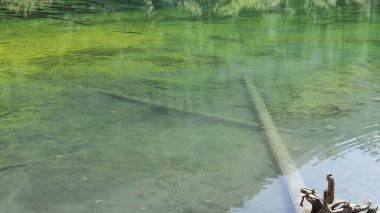 Zümrüt yeşili suyla Valle Stretta Torino 'daki Yeşil Göl manzarası. Yüksek kalite fotoğraf
