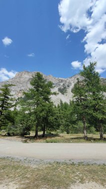 Valle Stretta Torino 'daki dağların ve Alplerin genel görünümü. Yüksek kalite fotoğraf