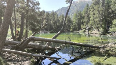Zümrüt yeşili suyla Valle Stretta Torino 'daki Yeşil Göl manzarası. Yüksek kalite fotoğraf