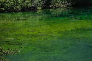 Zümrüt yeşili suyla Valle Stretta Torino 'daki Yeşil Göl manzarası. Yüksek kalite fotoğraf