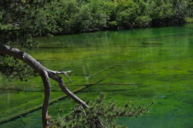 Zümrüt yeşili suyla Valle Stretta Torino 'daki Yeşil Göl manzarası. Yüksek kalite fotoğraf