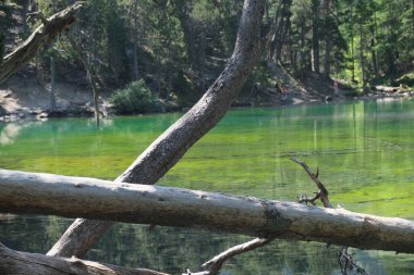 Zümrüt yeşili suyla Valle Stretta Torino 'daki Yeşil Göl manzarası. Yüksek kalite fotoğraf