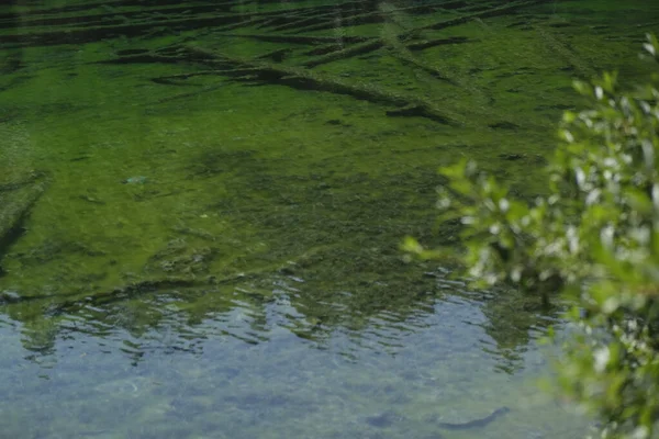 Vista Para Lago Verde Valle Stretta Turim Com Água Verde — Fotografia de Stock