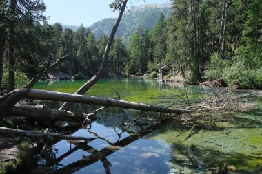 Zümrüt yeşili suyla Valle Stretta Torino 'daki Yeşil Göl manzarası. Yüksek kalite fotoğraf