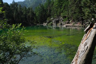 Zümrüt yeşili suyla Valle Stretta Torino 'daki Yeşil Göl manzarası. Yüksek kalite fotoğraf